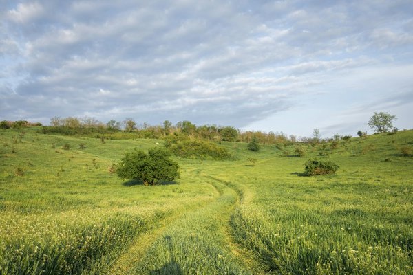 Quels sont les meilleurs itinéraires pour une randonnée à travers les vignobles de la Napa Valley, Californie : dégustations et conseils ?