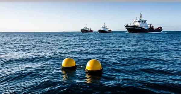 Bouées maritimes : suivez les données en temps réel !